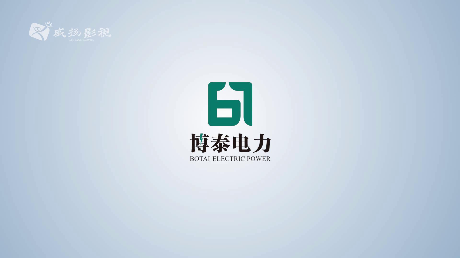 博泰电力